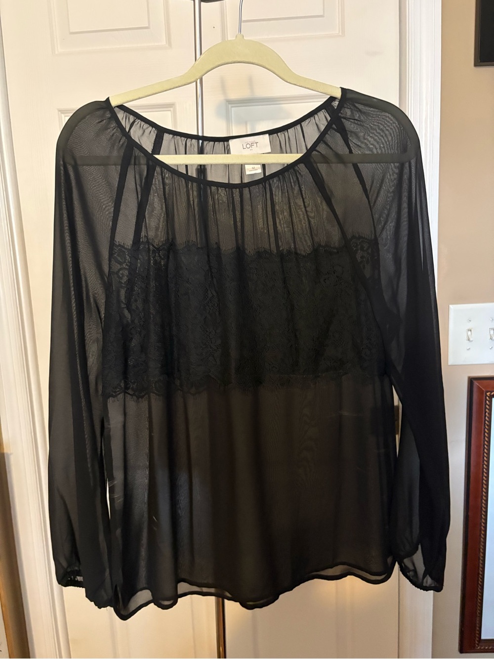 Sheer Blouse with Lace Detail